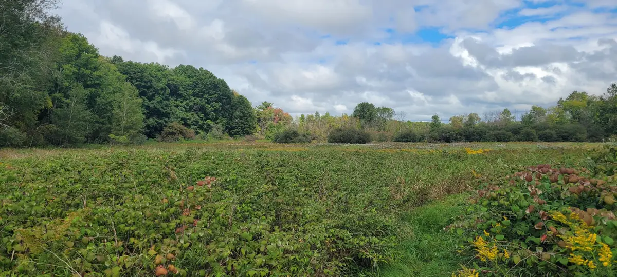 881 S Brye Road, Ludington, MI 49431 - Image #1