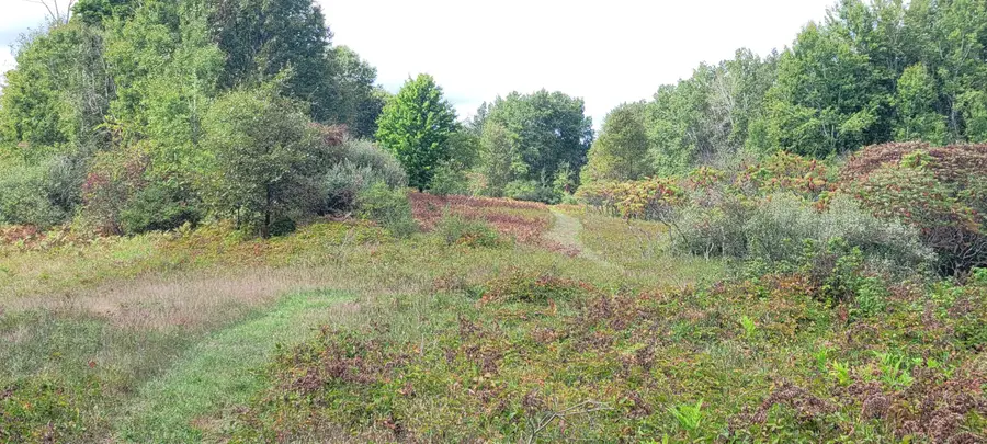 881 S Brye Road, Ludington, MI 49431 - Image #2