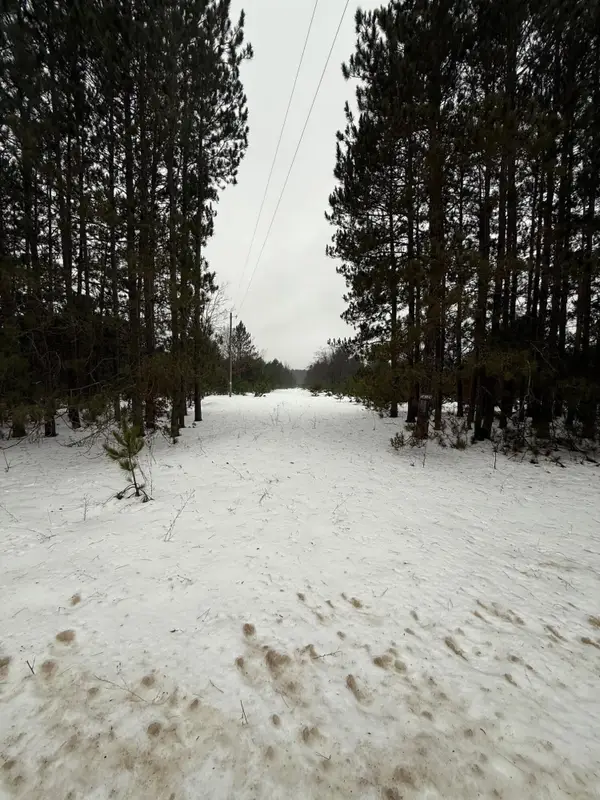 14124 Healy Lake Road, Bear Lake, MI 49614