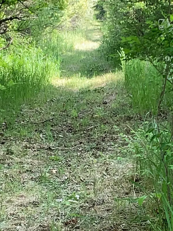 30th Avenue, Remus, MI 49340