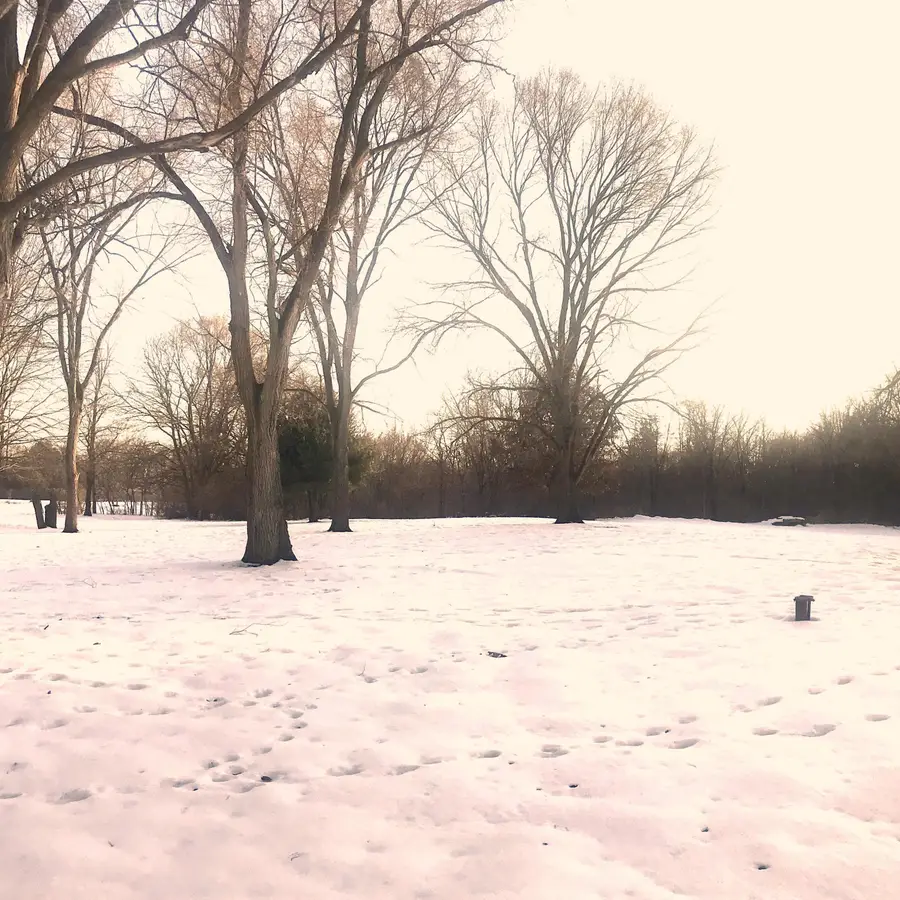 34535 N Brookwood Drive, Gobles, MI 49055 - Image #3