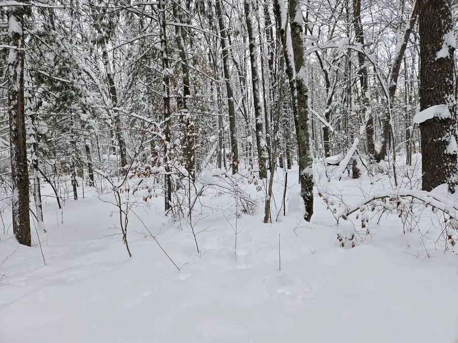 V/L S Whalen Lake Road, Baldwin, MI 49304 - Image #2