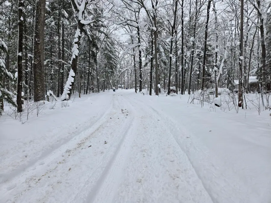 V/L S Whalen Lake Road, Baldwin, MI 49304 - Image #3