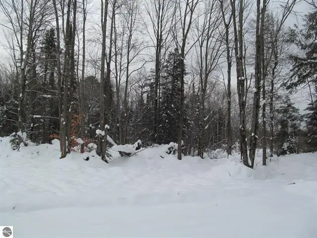 0 W 13th Street, Cadillac, MI 49601 - Image #2