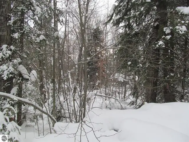 0 W 13th Street, Cadillac, MI 49601 - Image #3