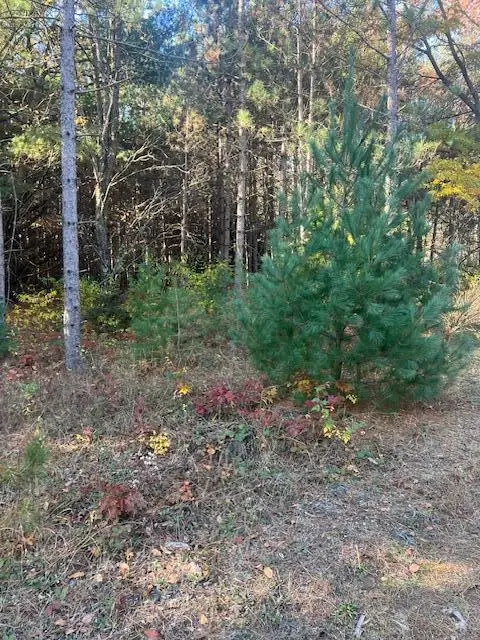 VL C Mckinley Road, Big Rapids, MI 49307