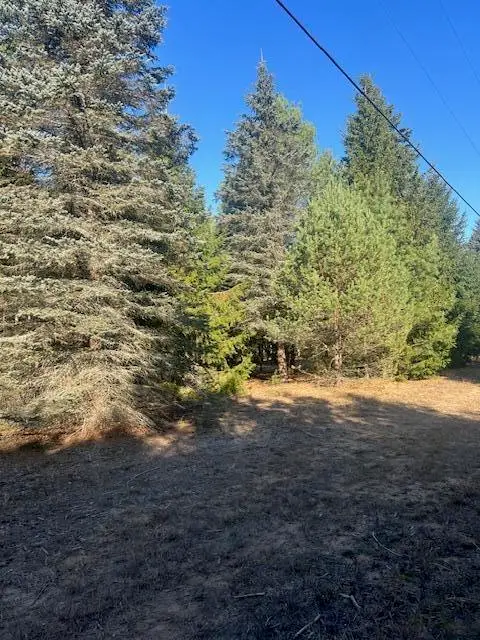 VL C Mckinley Road, Big Rapids, MI 49307 - #2