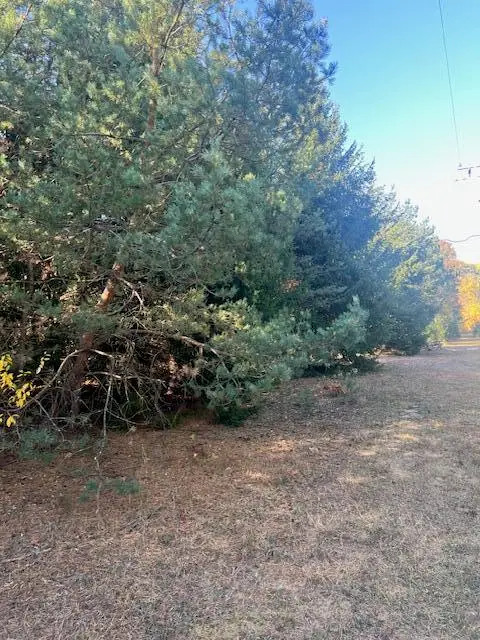 VL C Mckinley Road, Big Rapids, MI 49307 - #3