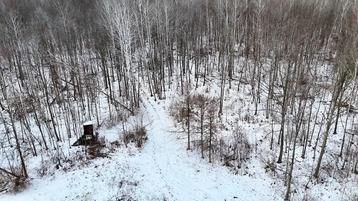 W Dana Rd Road, Coleman, MI 48618 - Image #1