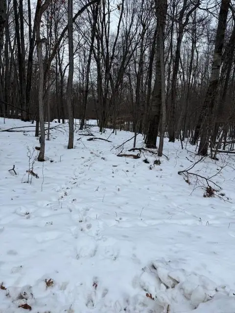 12090 Regina Drive, Canadian Lakes, MI 49346