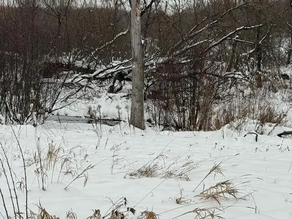 Apache Pass, Reed City, MI 49677