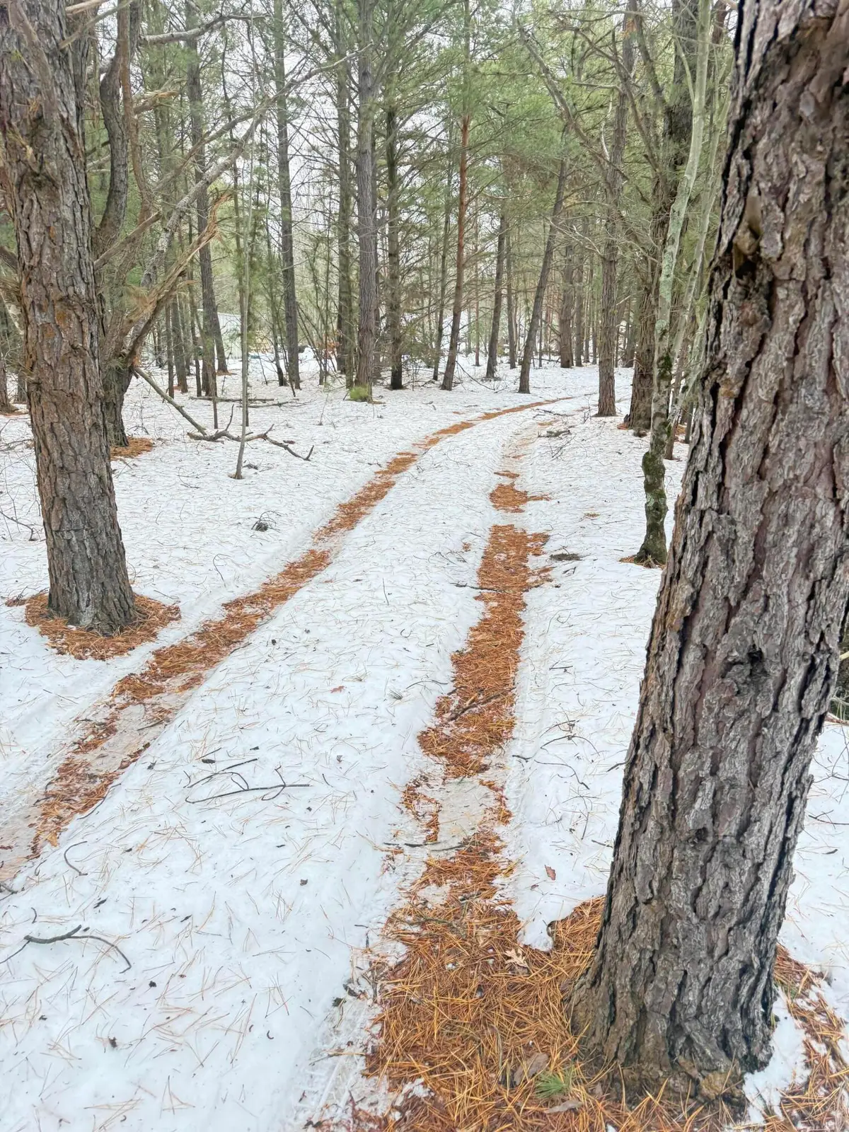 1302 W Tyler Road, Muskegon, MI 49445 - Image #1