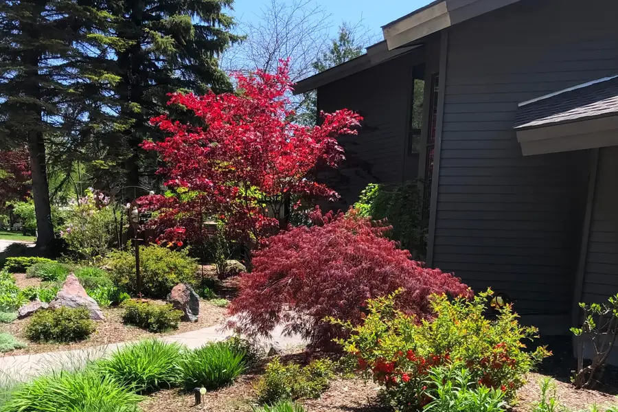 3151 Crystal Drive, Beulah, MI 49617 - Image #2