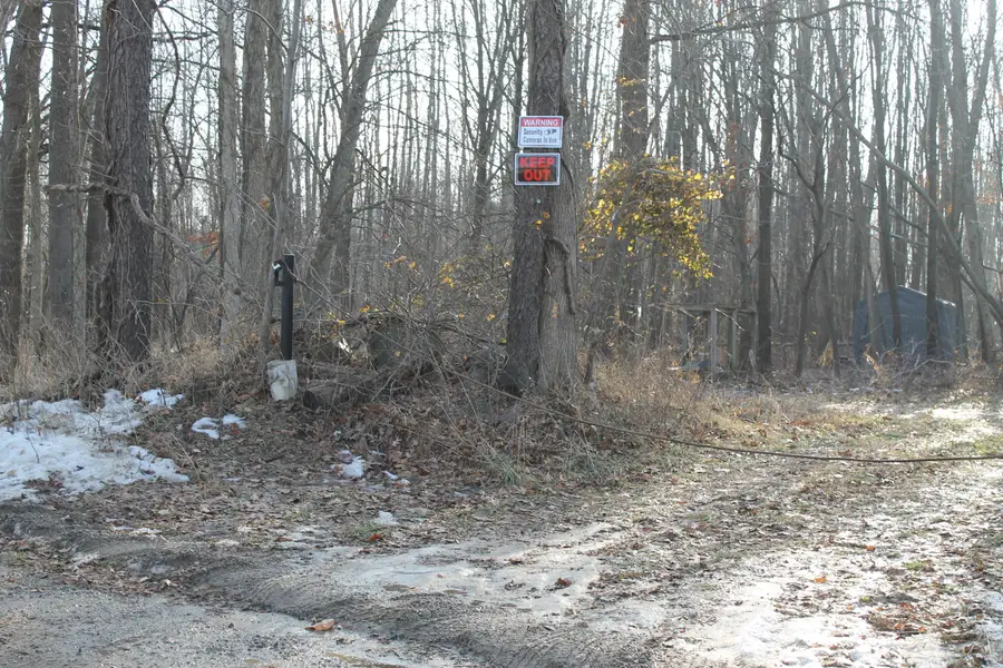 25500 U Drive S, Homer, MI 49245 - Image #2