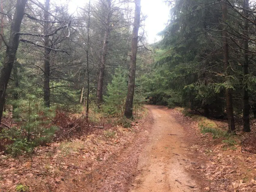 2700 S 28th Avenue, Shelby, MI 49455 - Image #2