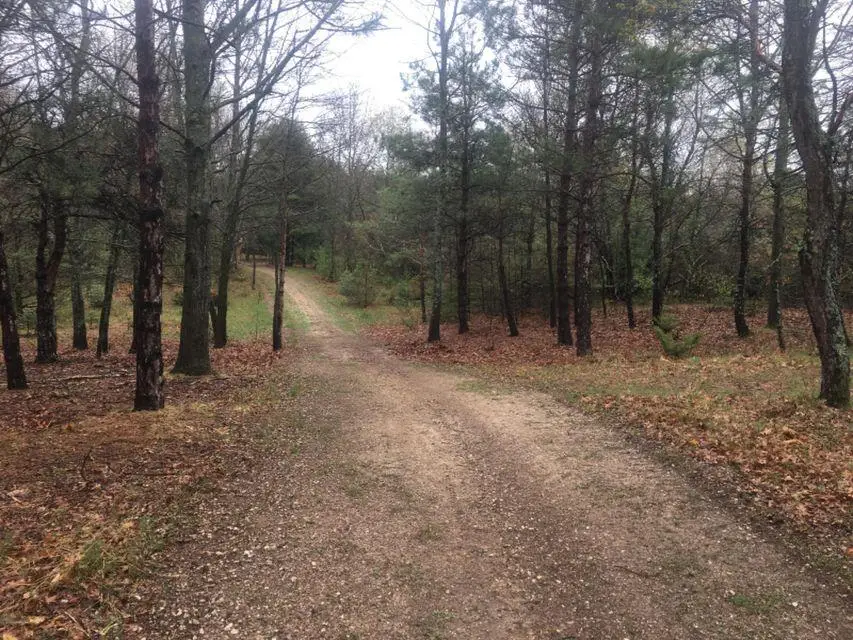 2700 S 28th Avenue, Shelby, MI 49455 - Image #3