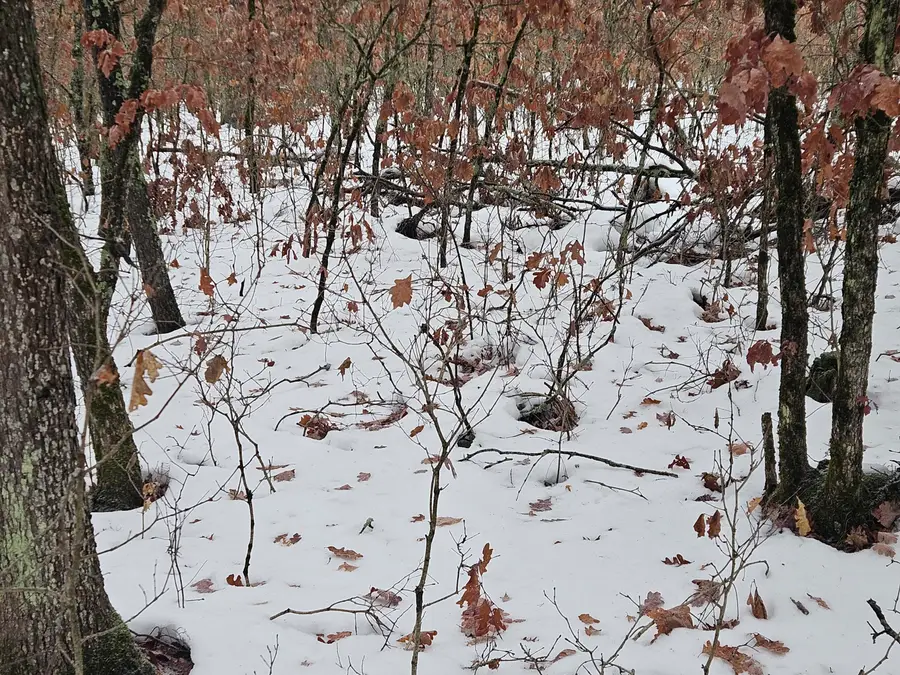 v/l 10-13 W Oliver Road, Baldwin, MI 49304 - Image #2