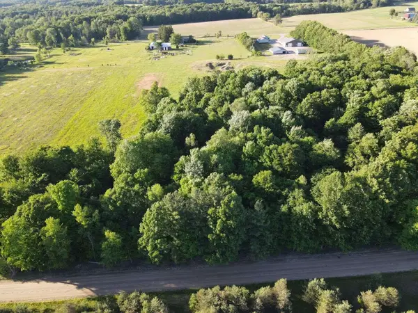 4550 W Waterwheel Road, Six Lakes, MI 48886