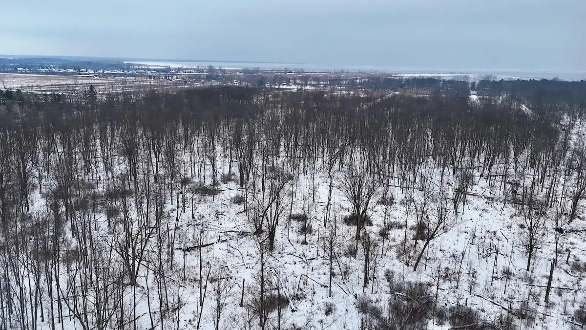 S Santiago Road, Au Gres, MI 48703 - Image #1