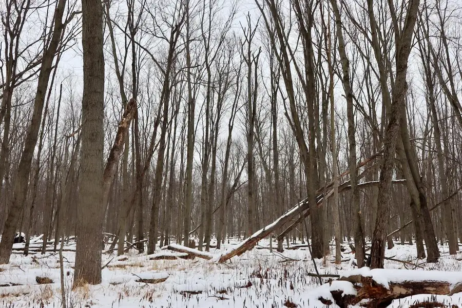 S Santiago Road, Au Gres, MI 48703 - Image #3