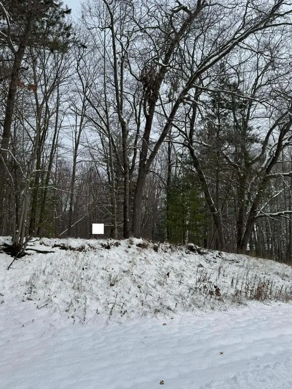 Oakridge Drive, Oscoda, MI 48750