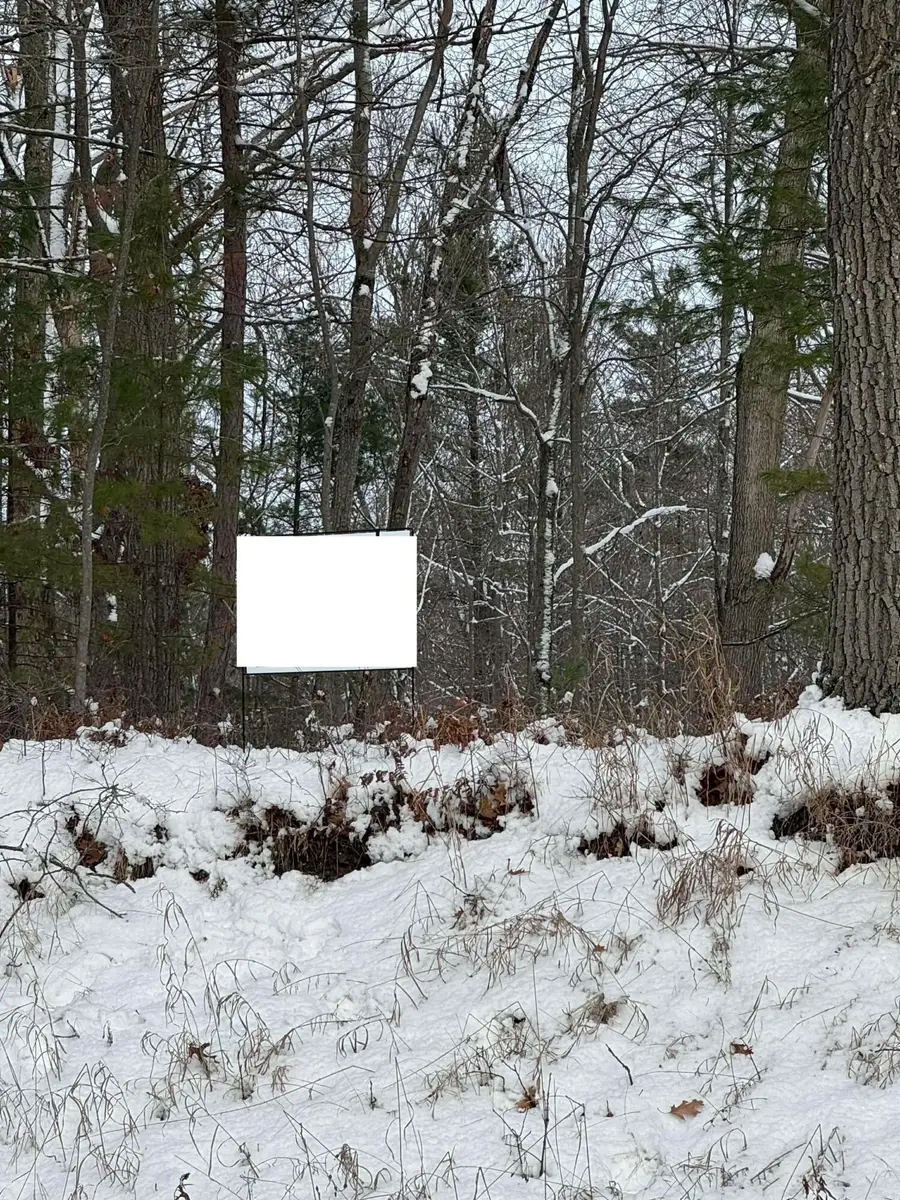 Oakridge Drive, Oscoda, MI 48750 - Image #3