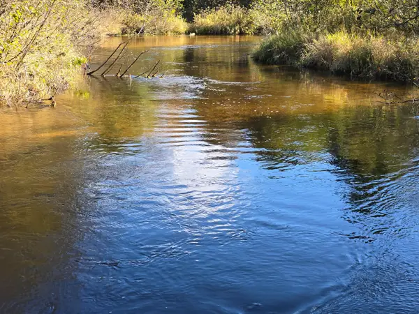 10652 N River Road #C, Irons, MI 49644