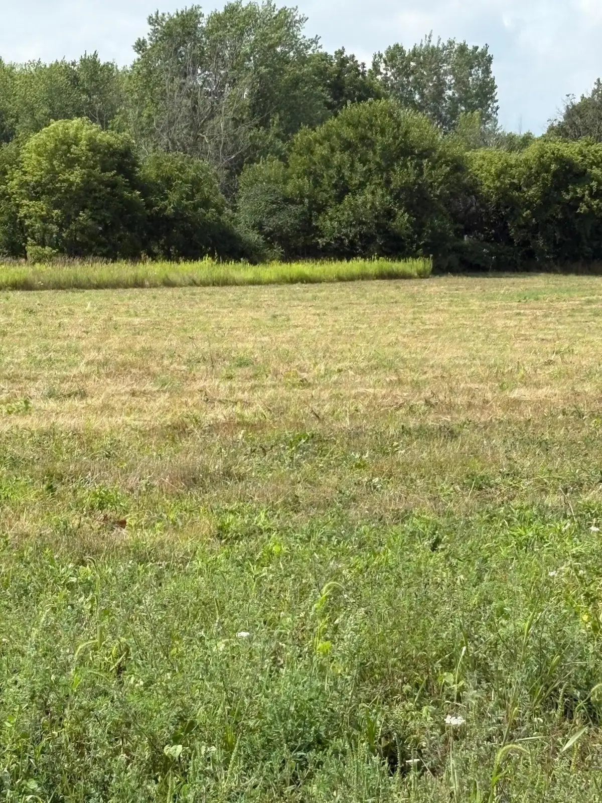 10725 Windward Avenue Sw, Byron Center, MI 49315 - Image #1