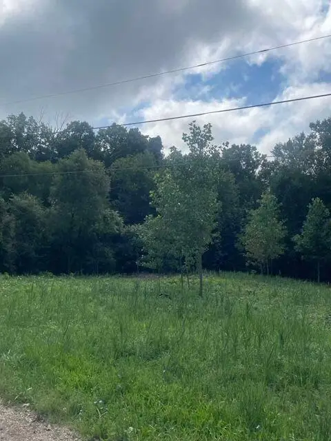 3080 Pershing Drive, Coloma, MI 49038