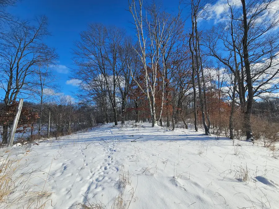 01 120th Ave, Rodney, MI 49342 - Image #3