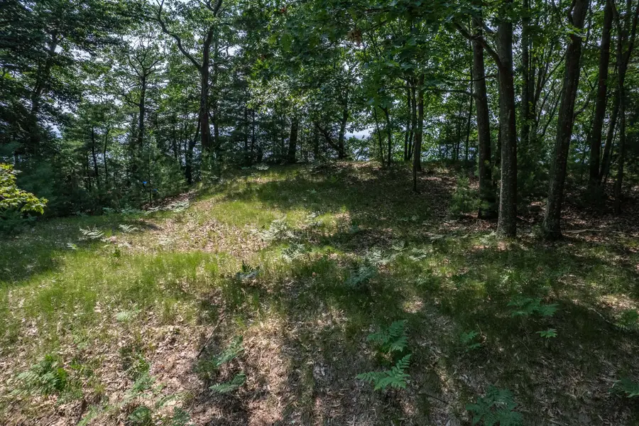 0 S Montgomery Boulevard, Pentwater, MI 49449 - Image #2