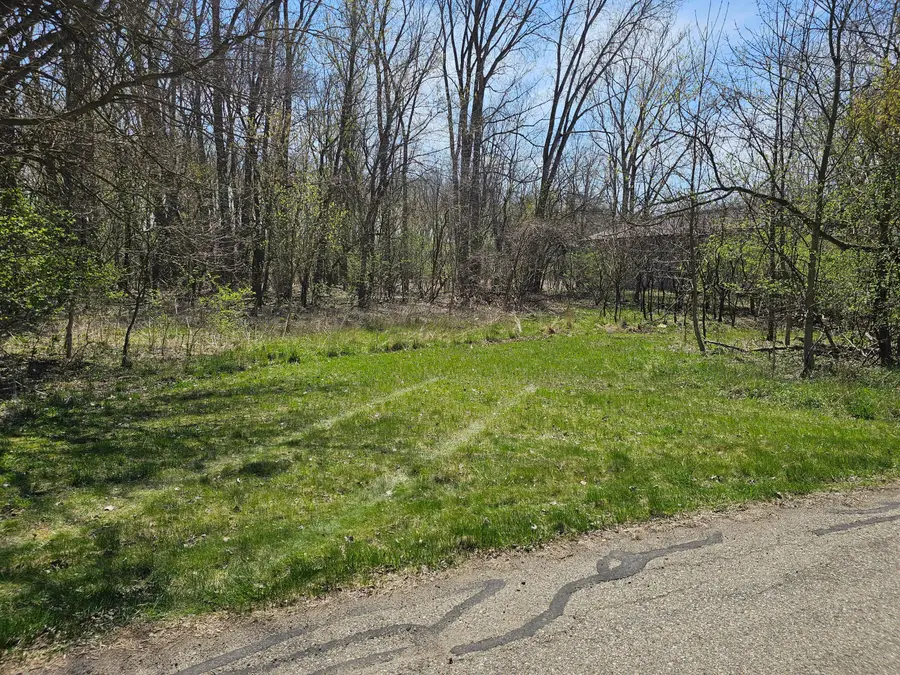 V/L Webber Street, Ionia, MI 48846 - #2