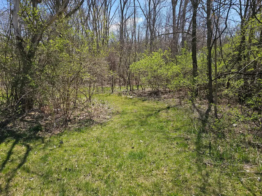 V/L Webber Street, Ionia, MI 48846 - #3