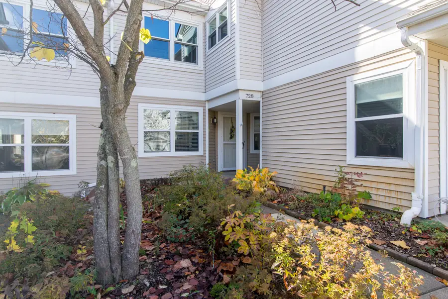 728 Cobblestone Way, Chelsea, MI 48118 - Image #2