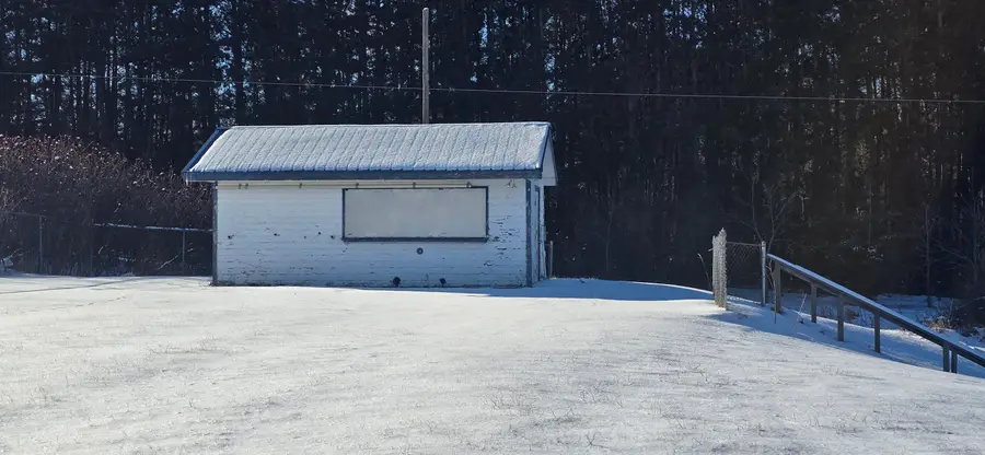 500 W Home Street, Edmore, MI 48829 - Image #3