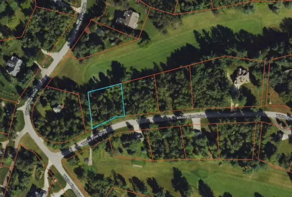 Lot 28 White Pine Drive, Cadillac, MI 49601