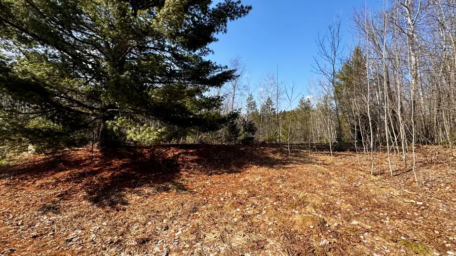 Lot 28 White Pine Drive, Cadillac, MI 49601 - Image #3
