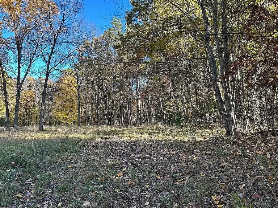 12920 Harvard Avenue Ne, Cedar Springs, MI 49319 - Image #3