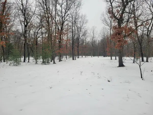 2155 E County Line Road, Free Soil, MI 49411