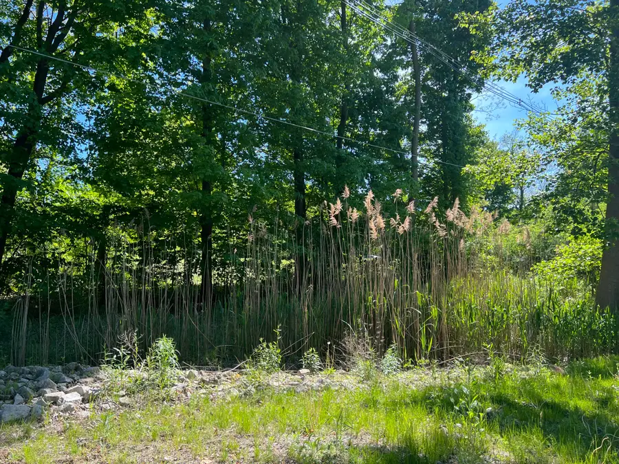 19499 Kluver Road, New Buffalo, MI 49117 - Image #2