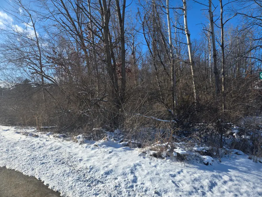 11838 Greenbriar Drive, Jerome, MI 49249 - #2