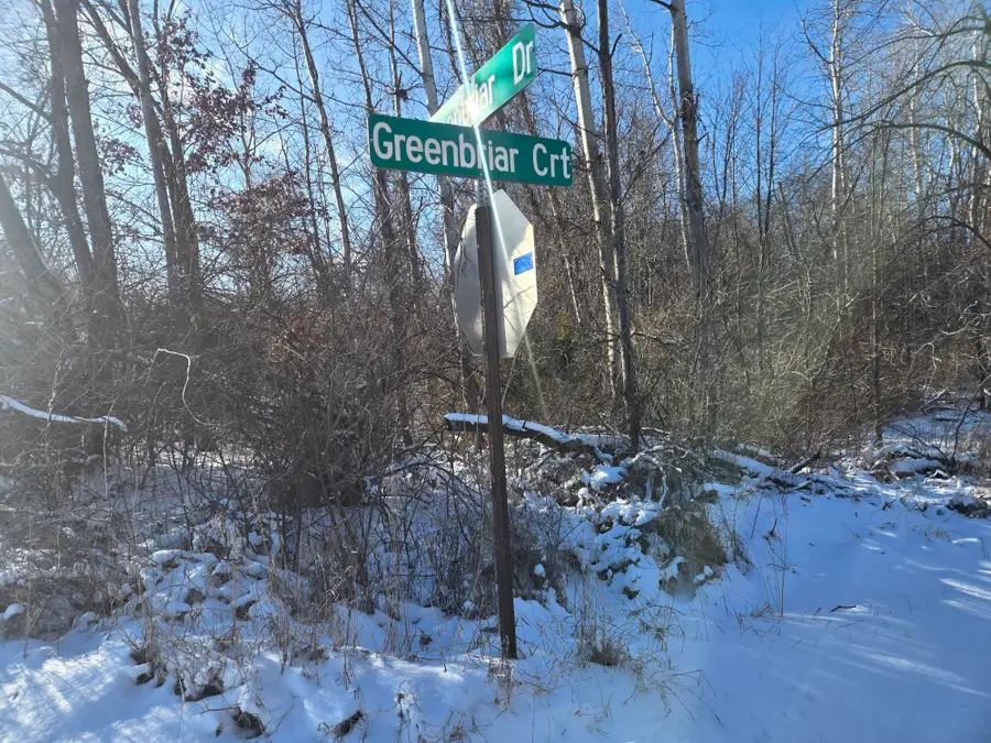 11838 Greenbriar Drive, Jerome, MI 49249 - #3