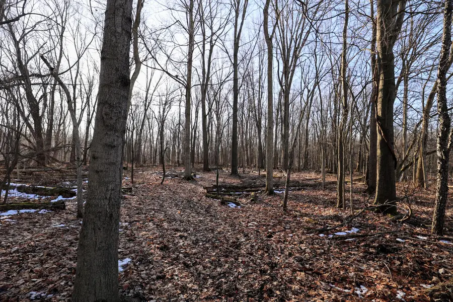 1767 Flanders Road, Charlotte, MI 48813 - Image #2