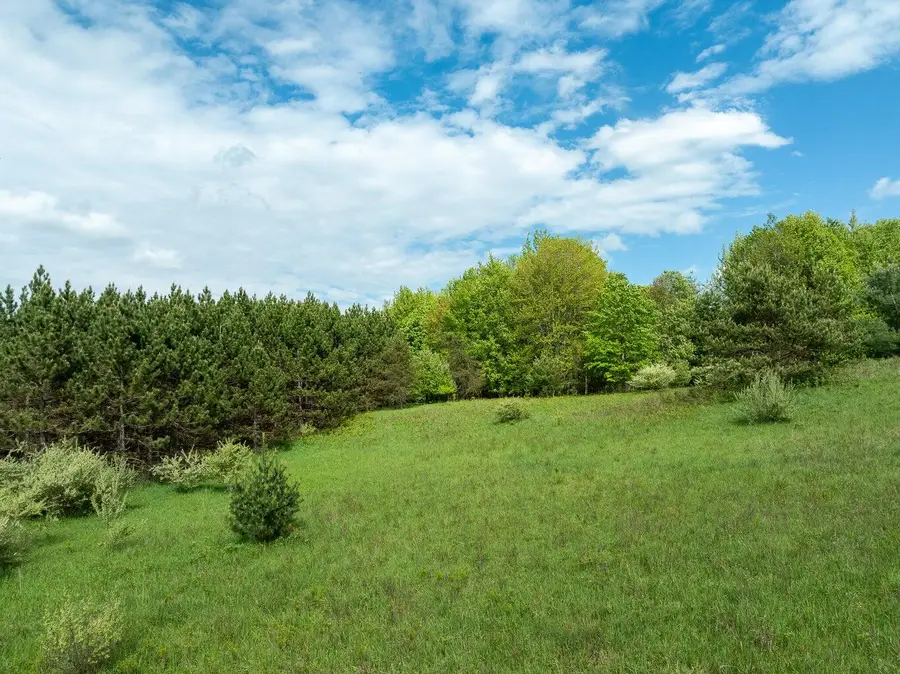 157.22 E 24th Street, Reed City, MI 49677 - #3