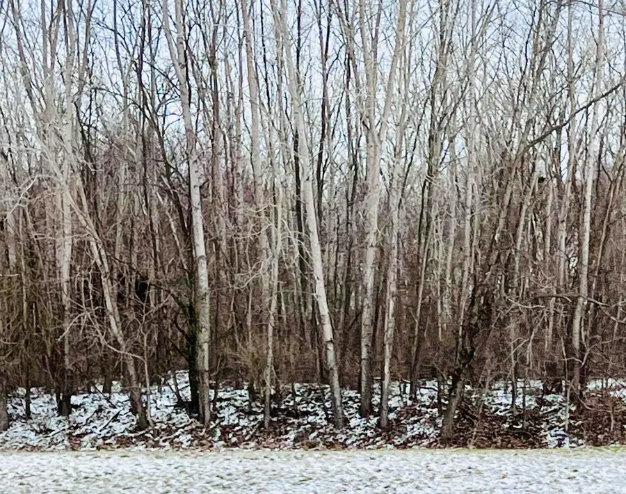 56660 Tanner Trail, Three Rivers, MI 49093 - Image #2