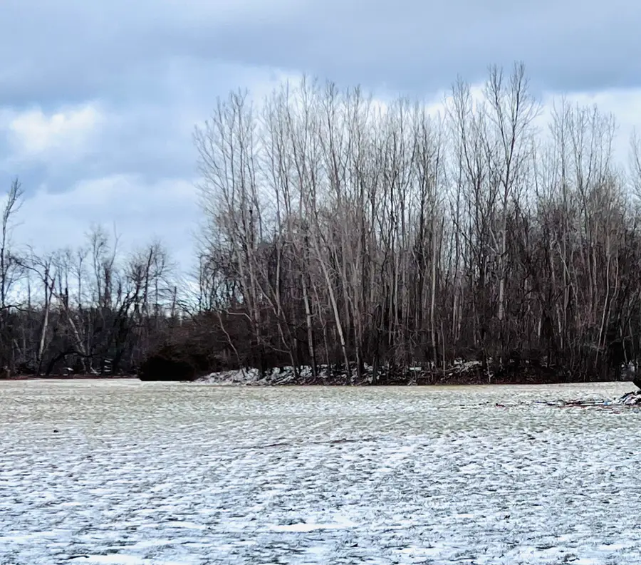 56660 Tanner Trail, Three Rivers, MI 49093 - Image #3