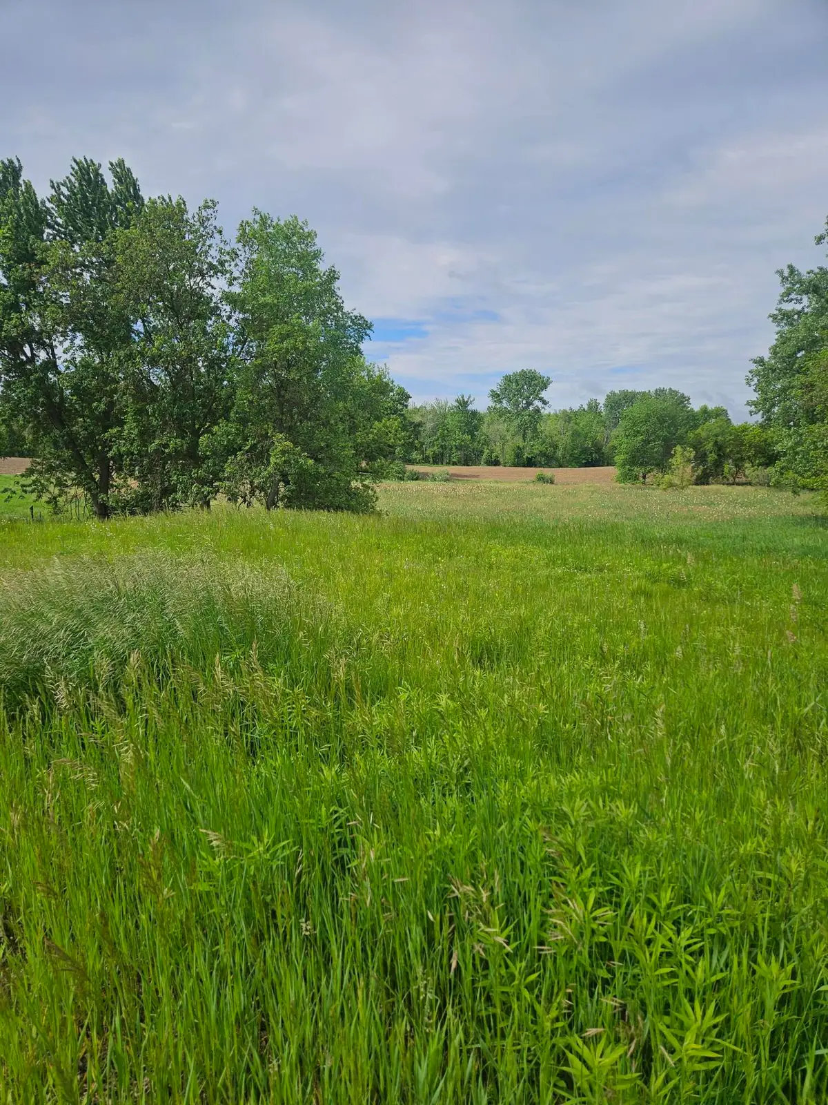 10800 Crooked Lake Drive Ne, Rockford, MI 49341 - Image #1