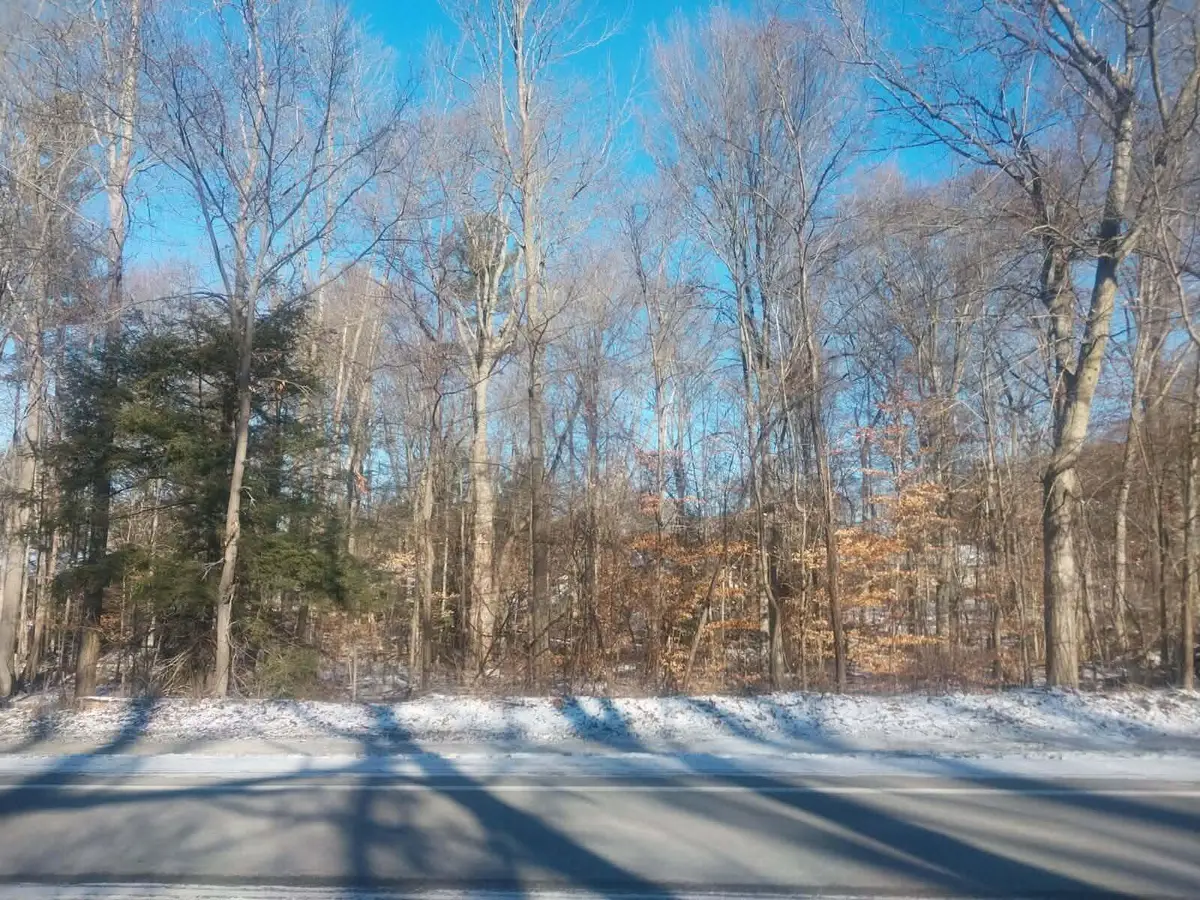 Lot A 142nd Avenue, Dorr, MI 49323 - Image #1