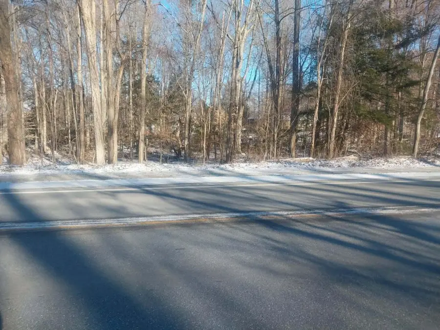 Lot B 142nd Avenue, Dorr, MI 49323 - Image #3