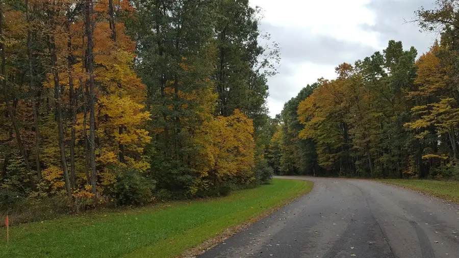 794 Greystone Drive #7, Chelsea, MI 48118 - Image #3